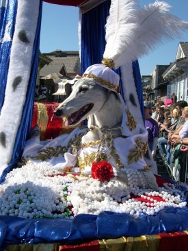 Greyhound in royal attire, including plumed hat, riding on float in the 2003 Mystic Krewe of Barkus parade