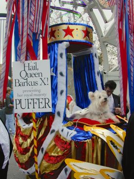 Queen Puffer, wearing a tiara and cape, aboard an elaborately outfitted royalty float ablaze with patriotic accoutrements. 