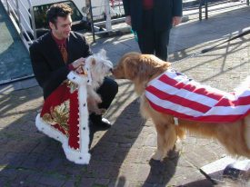 Derek holding Puffer as she goes nose-to-nose with her consort Jake, who is draped in the Stars and Stripes
