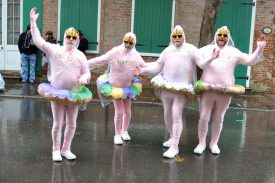 Group costume depicting king cakes from Gambino’s, Haydel’s, Randazzo’s and Sucre, Mardi Gras 2014